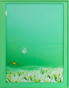 Interieurfotografie und Ausstellungsansichten aus Berlin